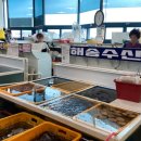 해송수산 이미지