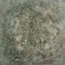 동부초교 이미지