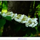 서울숲4 이미지