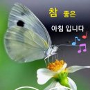휠링 Daum카페