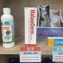 서문동물약국 이미지