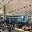 애니핏그라운드 이미지