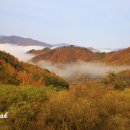 비밀의 정원 이미지