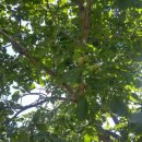 하색2리 마을회관 이미지