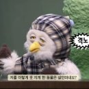 딩동댕 이미지