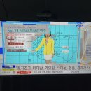 남사타이마트 | 2024 대만 (2) 태풍이 선물한 강제 호캉스, 타이난 Lakeshore, 션농지에, 라오팡 왕갈비 우육면