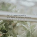 오늘의 '영어 명언'(260강) 니코스 카잔차키스(Nikos Kazantzakis) 이미지