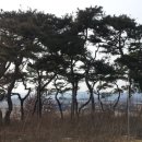 오상호 농장 네이버블로그