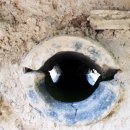 덕천민속마을 이미지