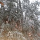 신원1리 이미지