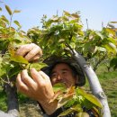 송전산방 이미지