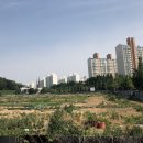 수원-1376 세계일보