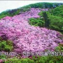 137 이미지
