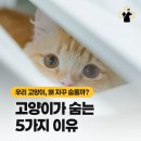 영주동물병원 이미지