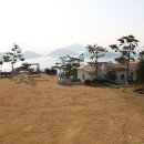 편백산림욕장 진입로 이미지