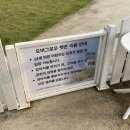 그로우펫 | 전주 근교 반려견 동반 카페 [오버 그로우] 펫 존 후기 #애견동반
