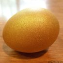 새봄펜션 이미지