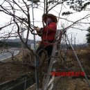 덕이네농장 이미지