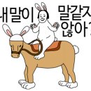 몽키스비어 이미지