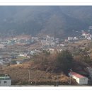 엘비타운
