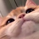 경주헤윰한옥펜션