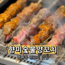 청하숯불식당 | 별내역맛집 별내동 중국요리 남양주밥집 향미숯불양꼬치