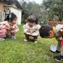 포레나어린이집 이미지