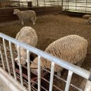 태신농장 이미지