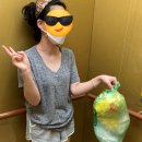 천지인의 기념비 이미지