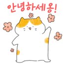 파랑새정육점