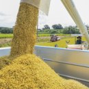 음양2리 이미지