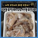 선동푸드 | 냉동손질오징어 & 선동오징어로 오징어 큐브 만들기