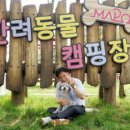 행복하 개 이미지