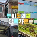 부야한의원 | 묘기증으로 방문한, 부야한의원 - 탐복미나리가든