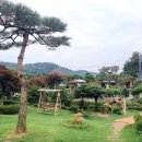 파인트리하우스 이미지