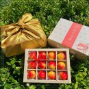 노엘농장 이미지