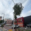 프리미엄버블세차장 이미지