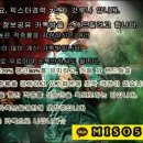 시티소프트뱅크 네이버블로그