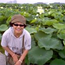 물안개 피는 마을,들꽃향기 이미지