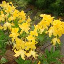 풀꽃농장 이미지