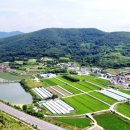 벽계관광지(내) 이미지