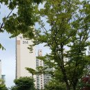 수원-0950 티스토리