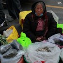 양양5일장 이미지