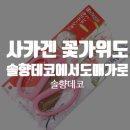 솔향데코 네이버블로그