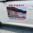 북항합동 노점상 회센타 | 2022.06.28 - 목포대교 차박