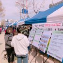 볼래로 문화거리 이미지