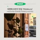 피렌체 맛집 : 피렌체 브런치 카페 '멜라루카'(Melaleuca) 신상 분점 후기🥞
