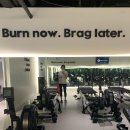 역삼1-139 | 스트롱필라테스 역삼 내돈내산4개월 다녀본 후기