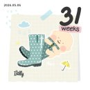 [임신후기(1)] 임신 29주~34주의 기록