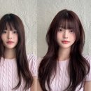 이은주헤어라인